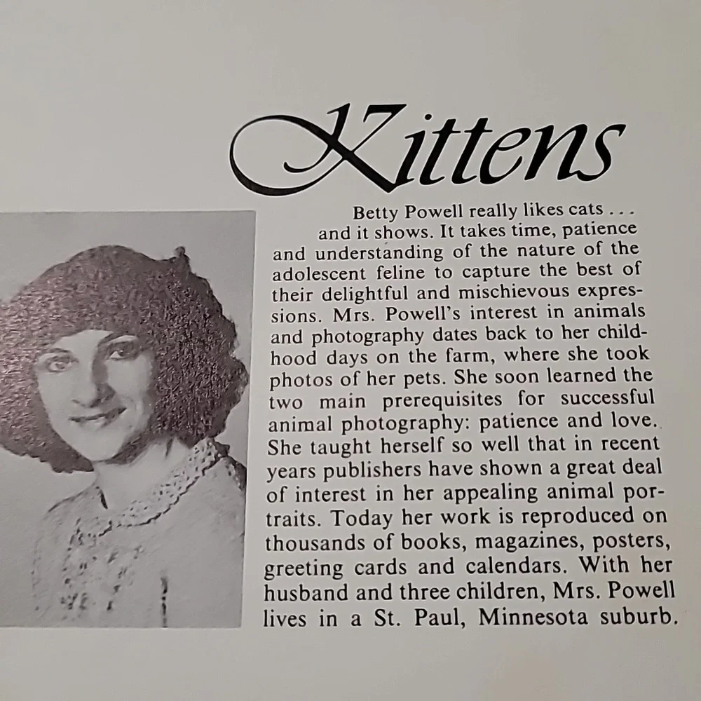 1985 Kittens Calendar by Betty Powell‎ - Vintage